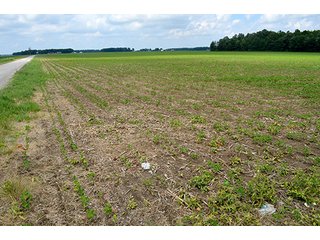 Property photo 118 - LAND AUCTION - 700+/- ACRES OFFERED IN 16 TRACTS IN ALLEN COUNTY, INDIANA